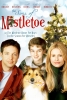 Un Noël pas comme les autres (The Sons of Mistletoe)