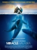 Miracle en Alaska (Big Miracle)