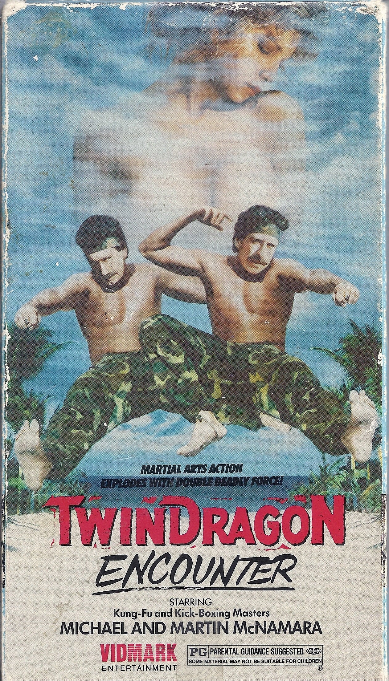 affiche du film Twin Dragon Encounter