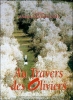 Au travers des oliviers (Zire darakhatan zeyton)