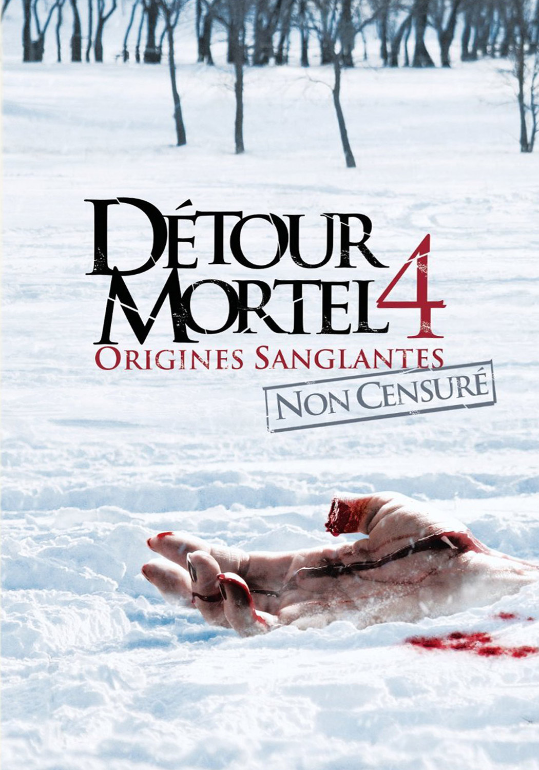affiche du film Détour Mortel 4 : Origines Sanglantes