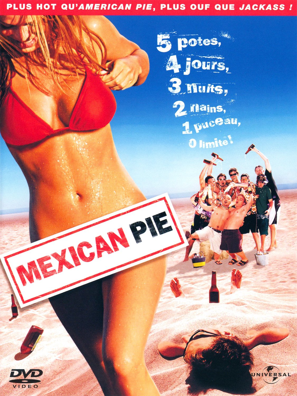 affiche du film Mexican Pie