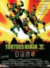 Les Tortues Ninja 3 (Teenage Mutant Ninja Turtles III)