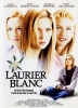 Laurier blanc (White Oleander)