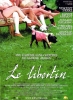 Le libertin