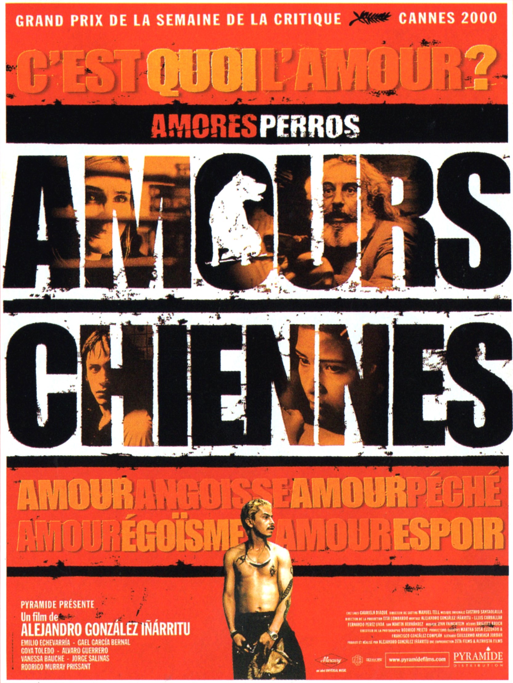 affiche du film Amours chiennes