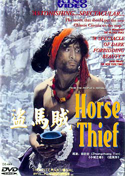 affiche du film Le Voleur de chevaux
