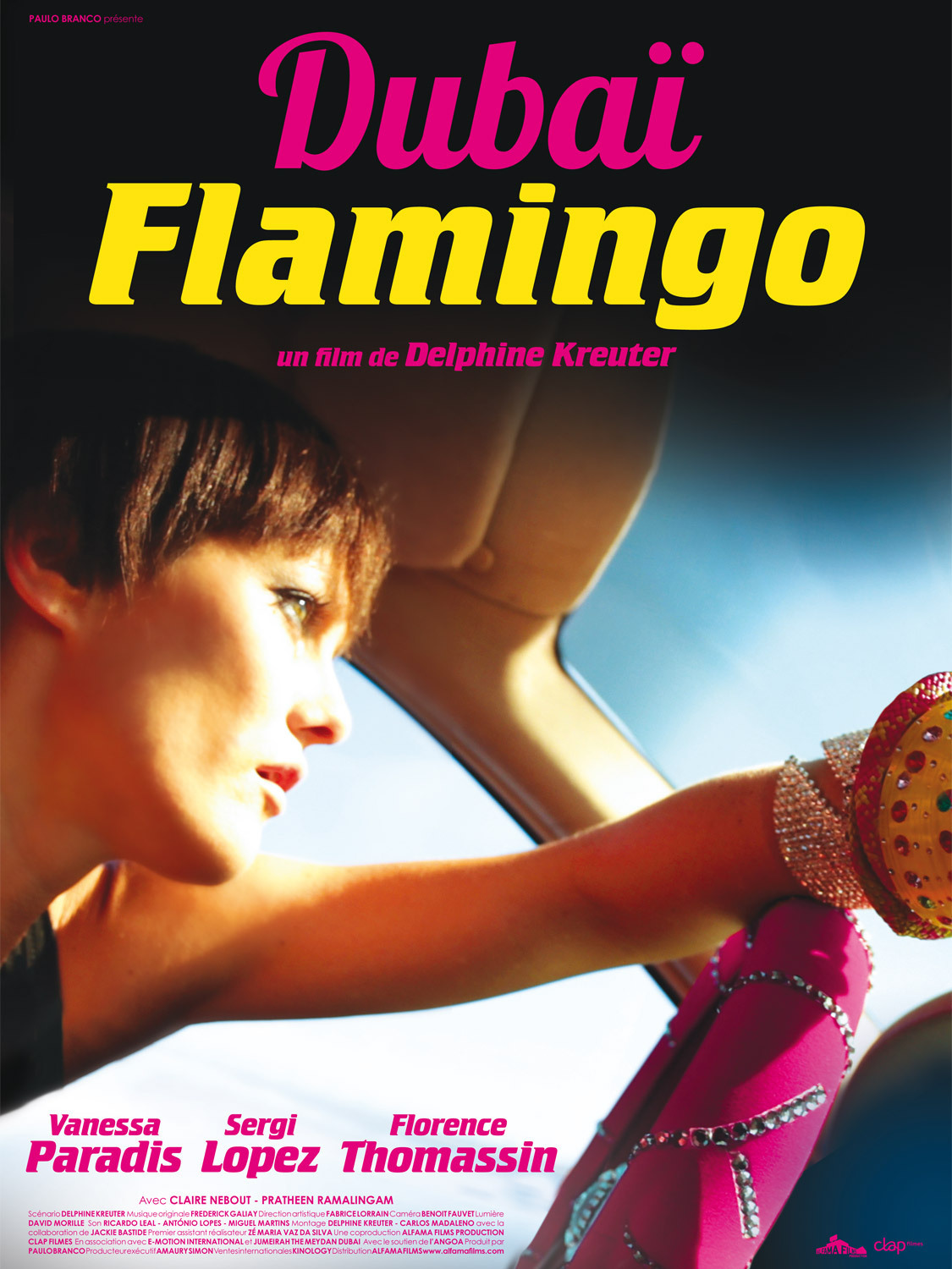 affiche du film Dubaï Flamingo