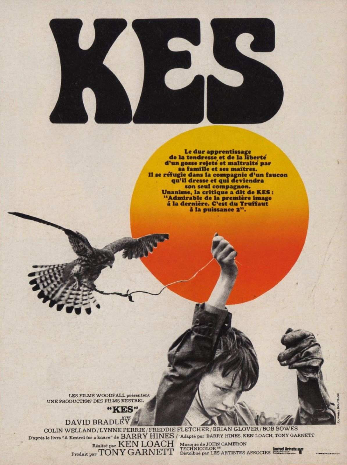 affiche du film Kes