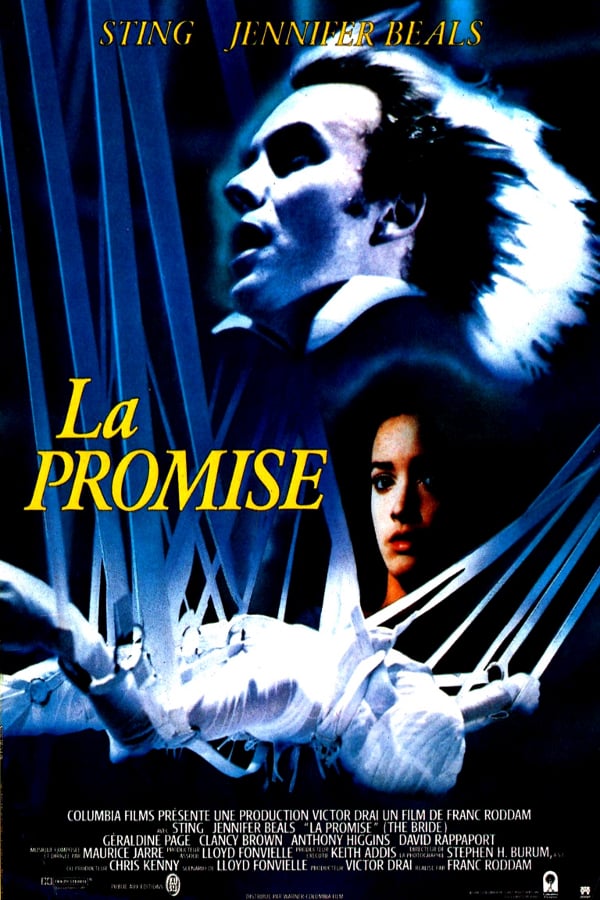 affiche du film La promise