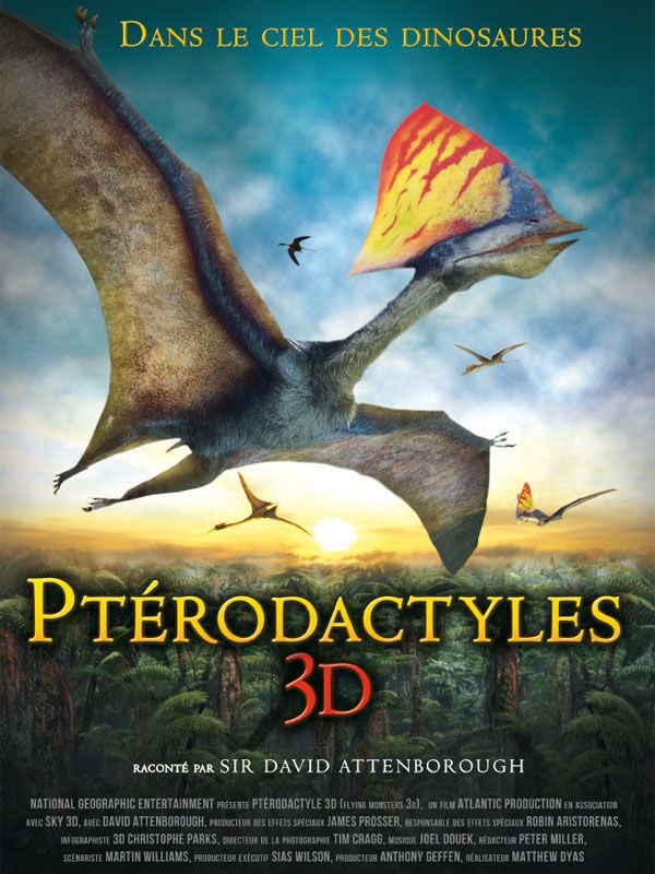 affiche du film Ptérodactyles 3D: Dans le ciel des dinosaures