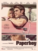 Paperboy (The Paperboy)