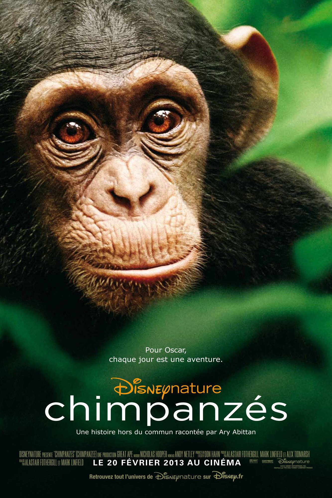 affiche du film Chimpanzés