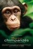 Chimpanzés (Chimpanzee)