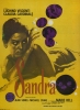 Sandra (Vaghe stelle dell'Orsa...)