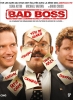 Bad Boss (Demoted)