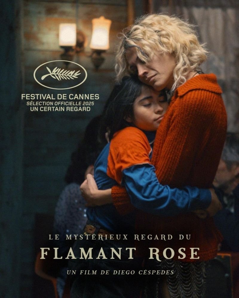 affiche du film Le Mystérieux regard du flamant rose