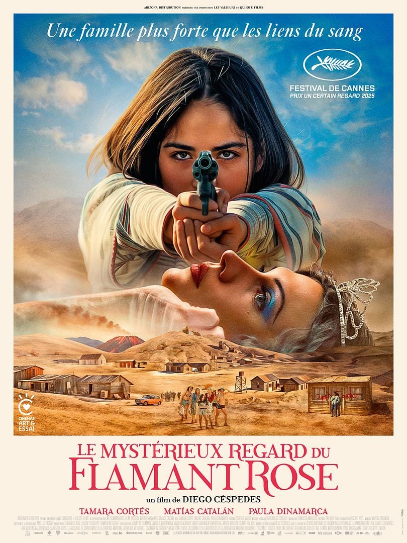 affiche du film Le Mystérieux regard du flamant rose