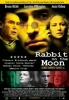 Rabbit on the Moon (Conejo en la luna)