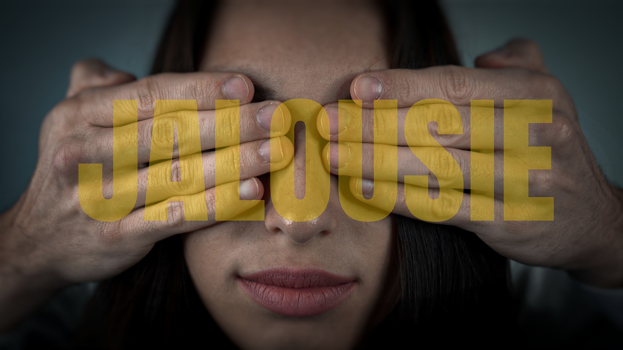 affiche du film Jalousie