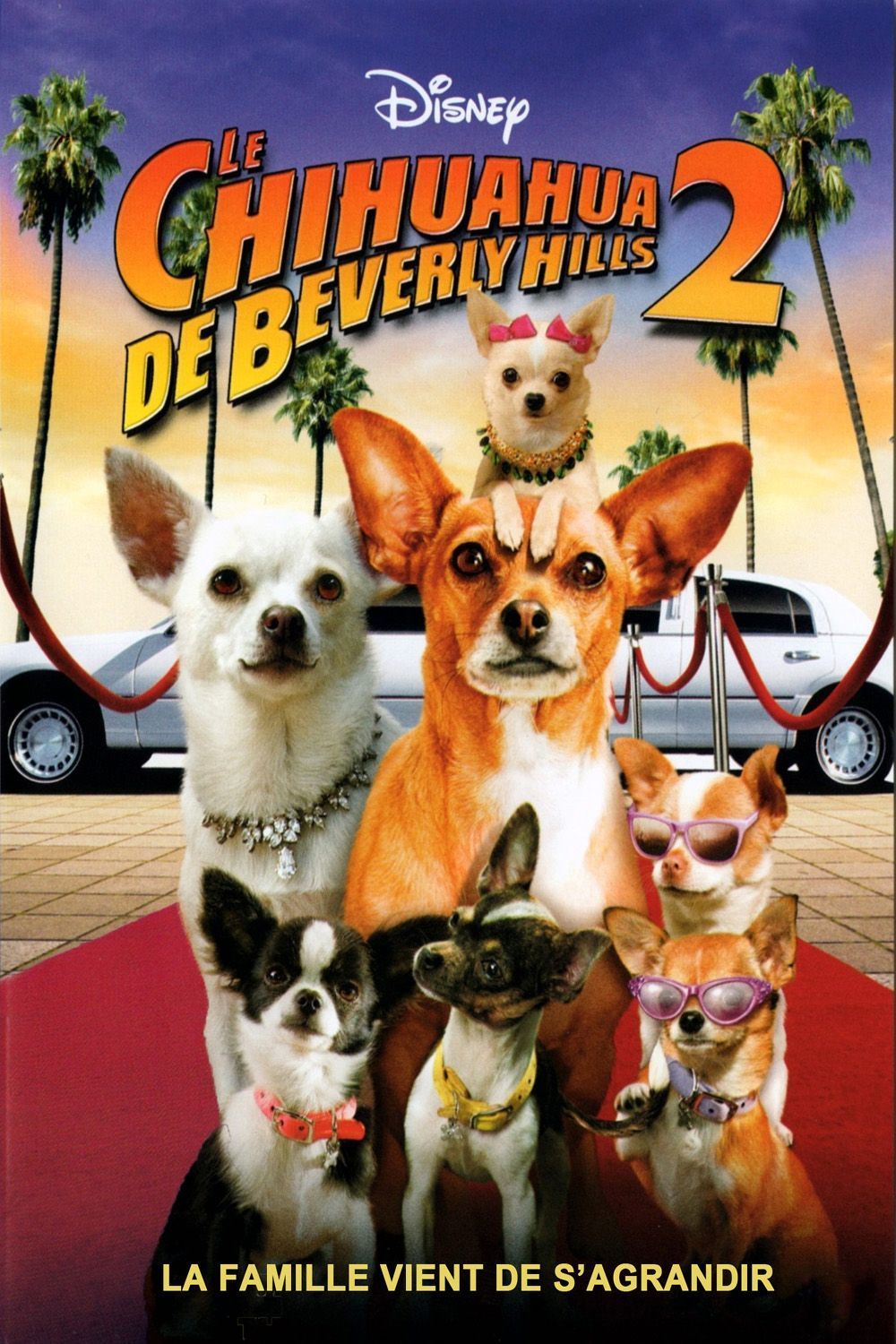 affiche du film Le Chihuahua de Beverly Hills 2