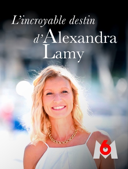 affiche du film L'incroyable destin d'Alexandra Lamy