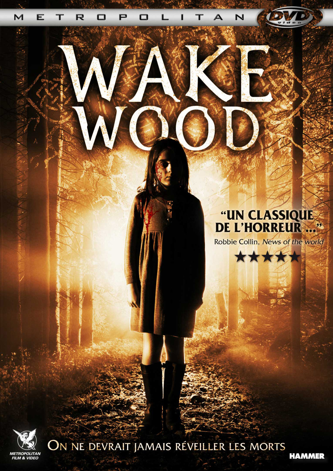 affiche du film Wake Wood