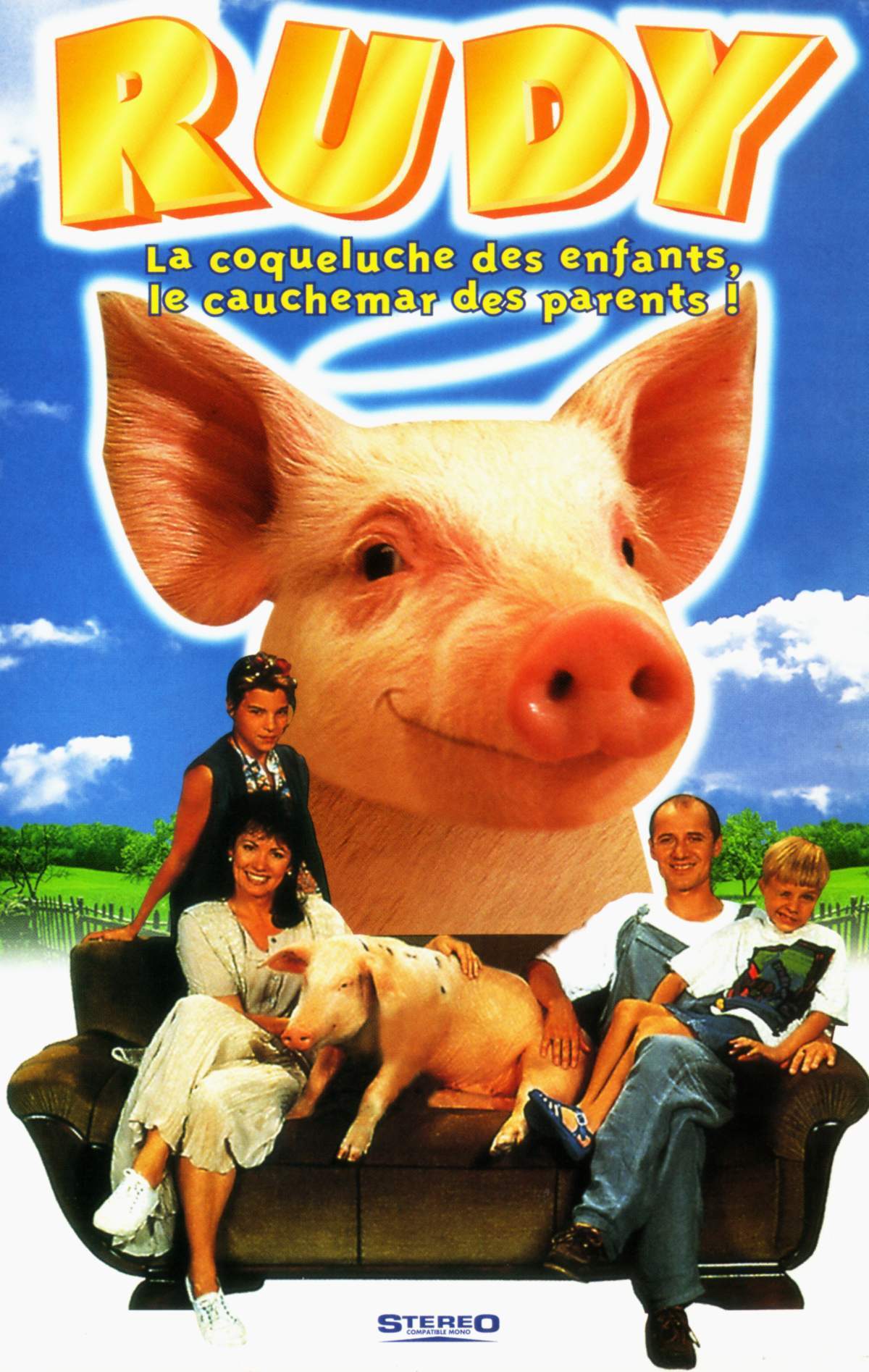 affiche du film Rudi, le petit cochon