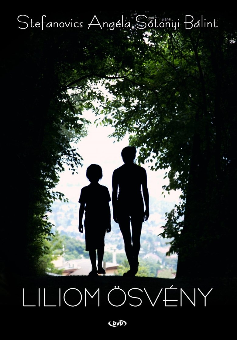 affiche du film Liliom ösvény
