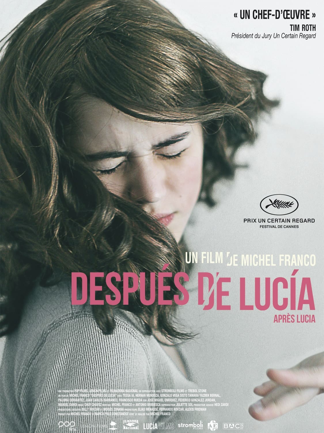 affiche du film Después de Lucia