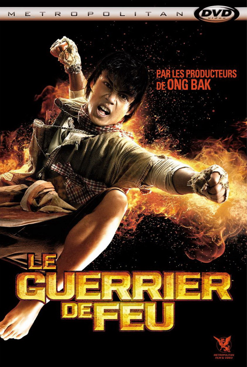 affiche du film Le guerrier de feu