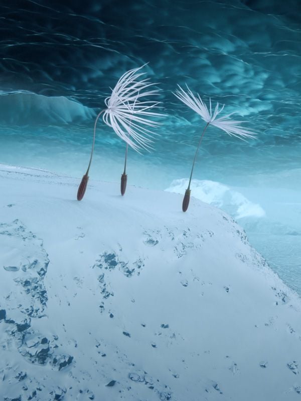 affiche du film Planètes