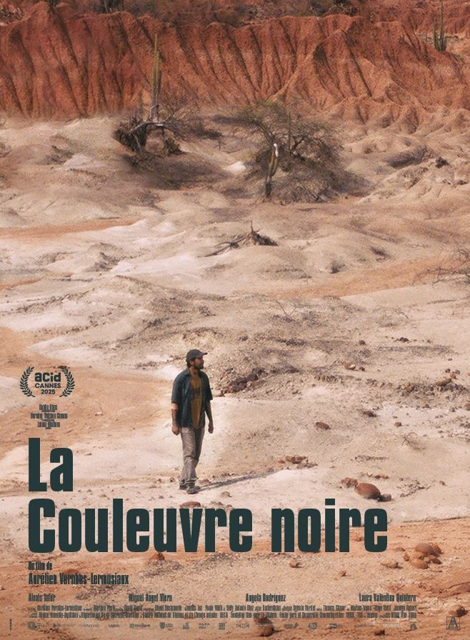 affiche du film La couleuvre noire