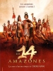 Les 14 amazones (Shi si nu ying hao)