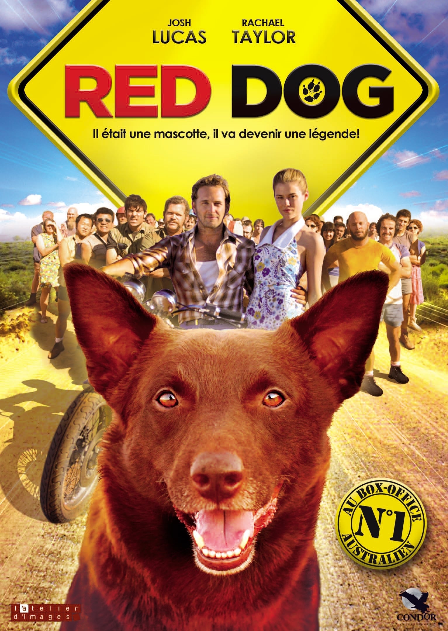 affiche du film Red Dog