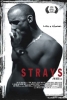 Strays