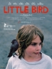 Little Bird (Kauwboy)