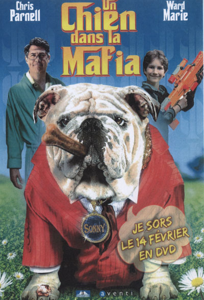 affiche du film Un chien dans la mafia