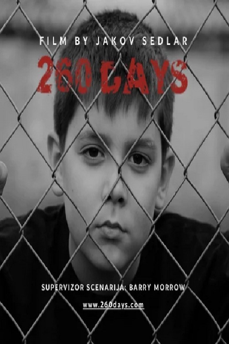 affiche du film 260 Days
