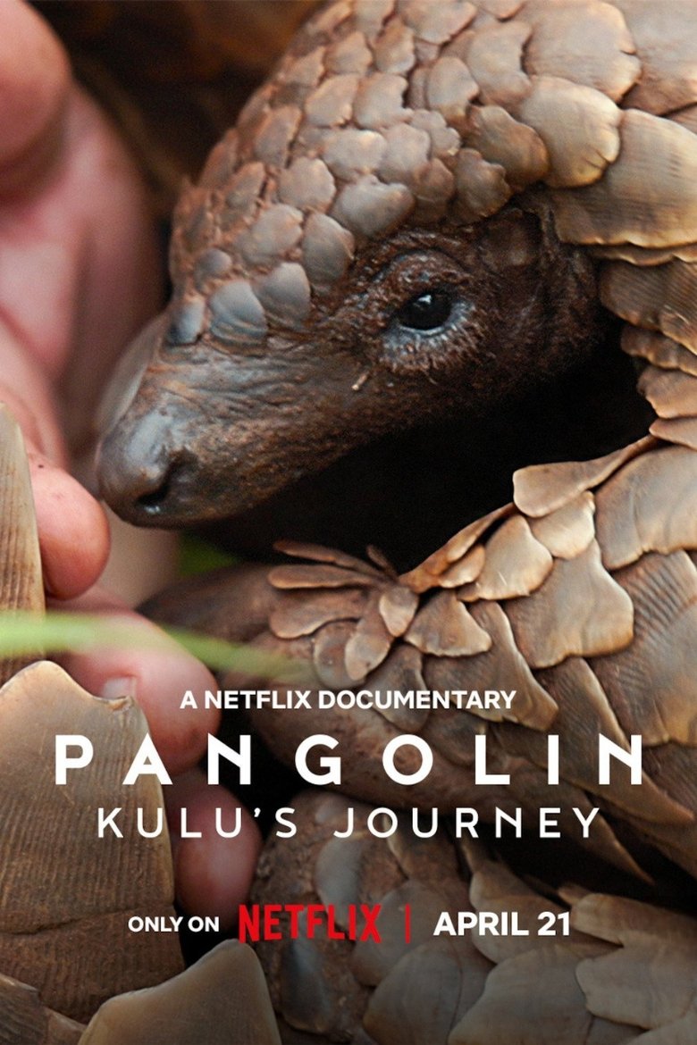 affiche du film Pangolin : Chemins de vie
