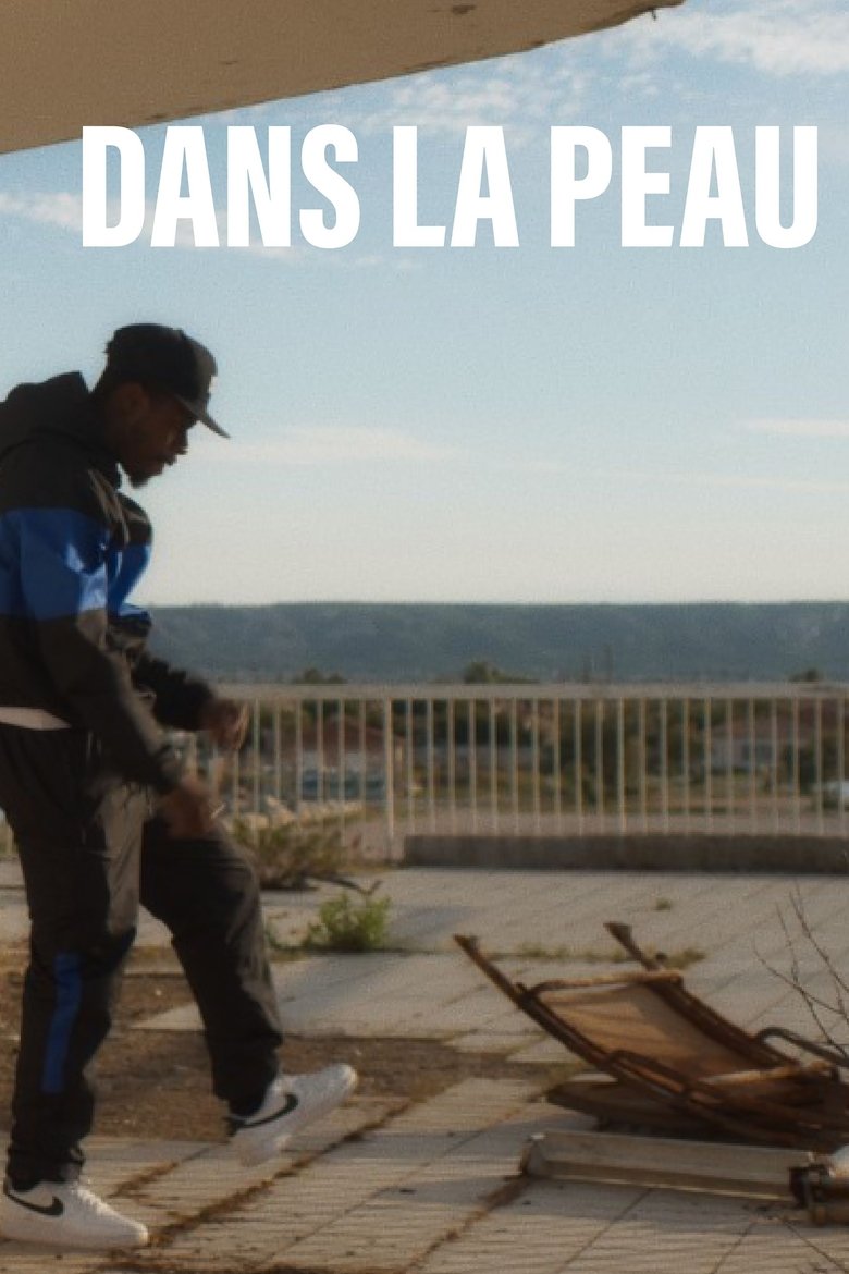 affiche du film Dans la peau