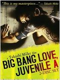 affiche du film Big bang love juvenile A