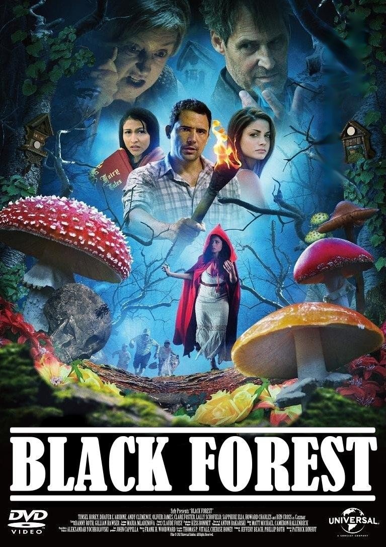affiche du film Les Secrets de la forêt noire