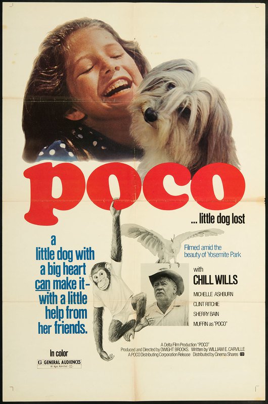 affiche du film Poco, le petit chien perdu