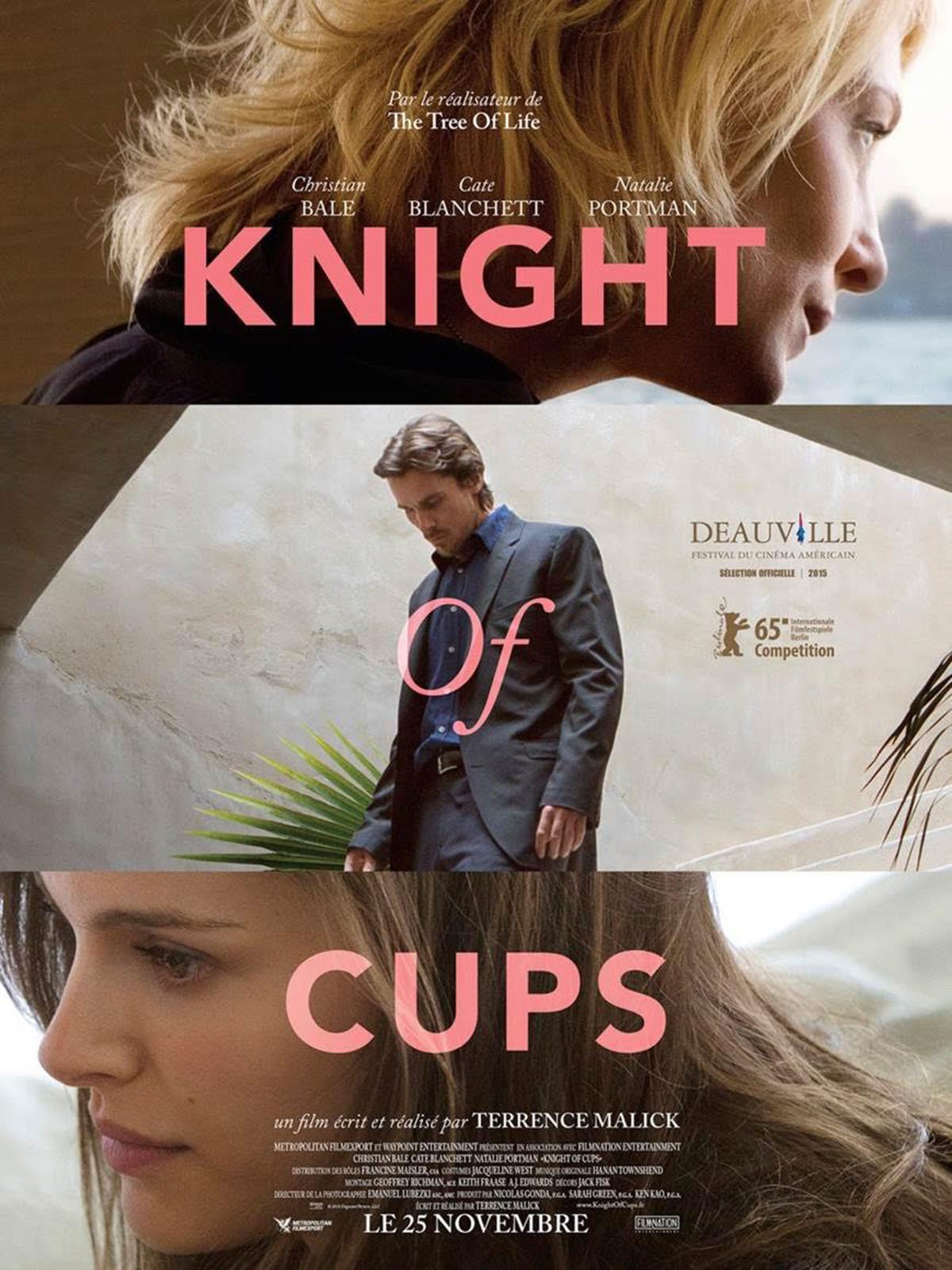 affiche du film Knight of Cups