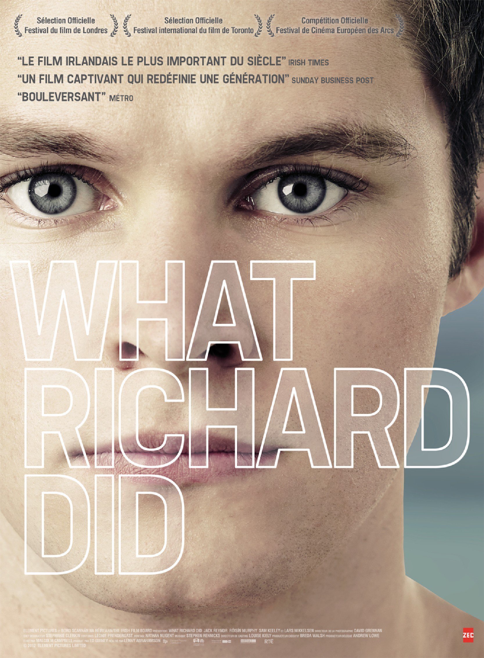 affiche du film What Richard Did