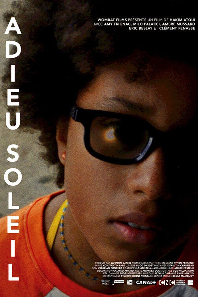 affiche du film Adieu soleil
