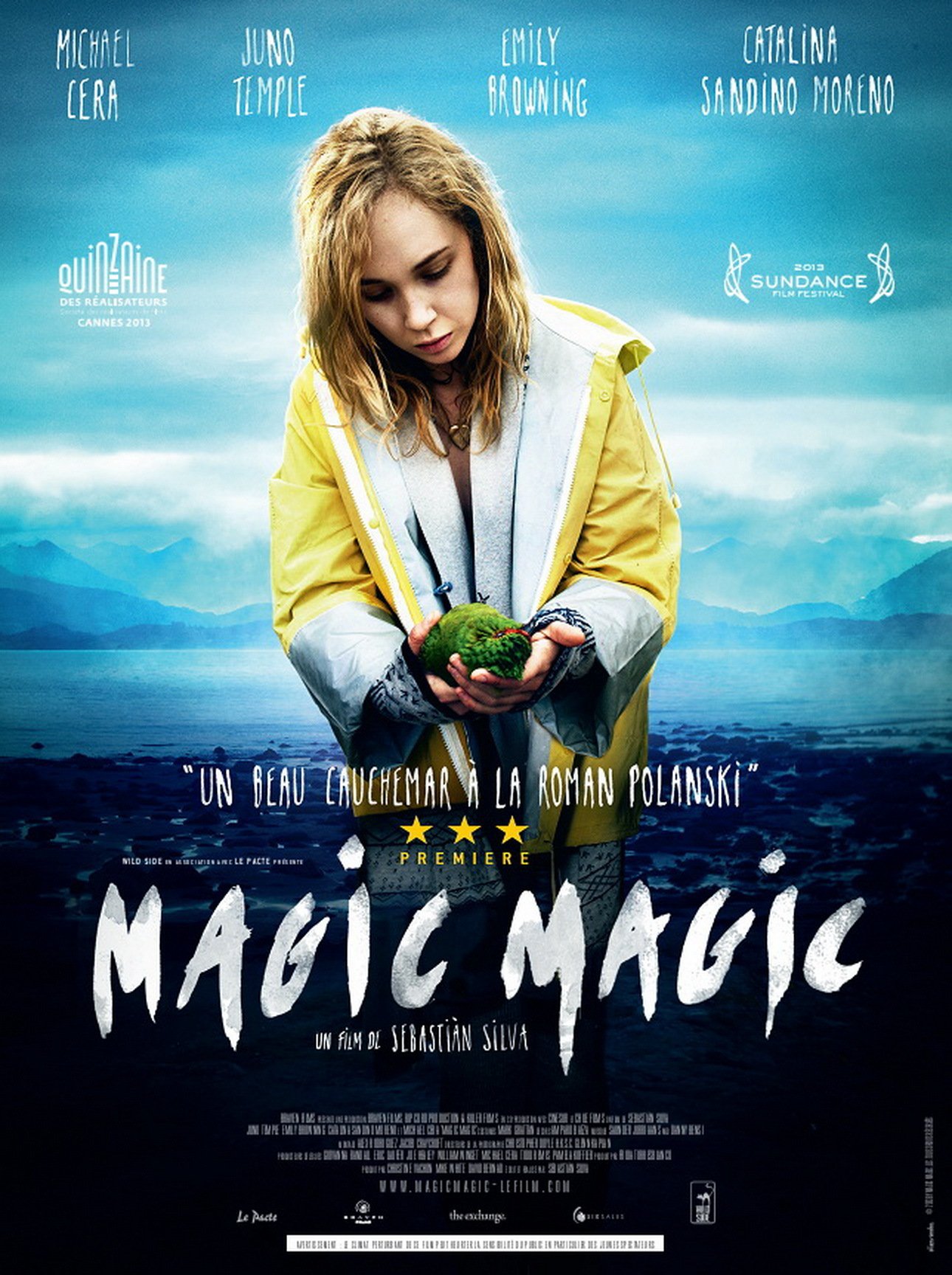 affiche du film Magic Magic