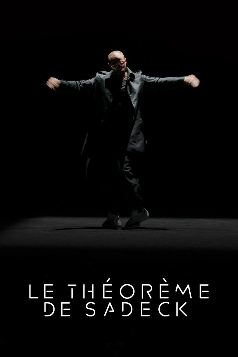 affiche du film Le Théorème de Sadeck