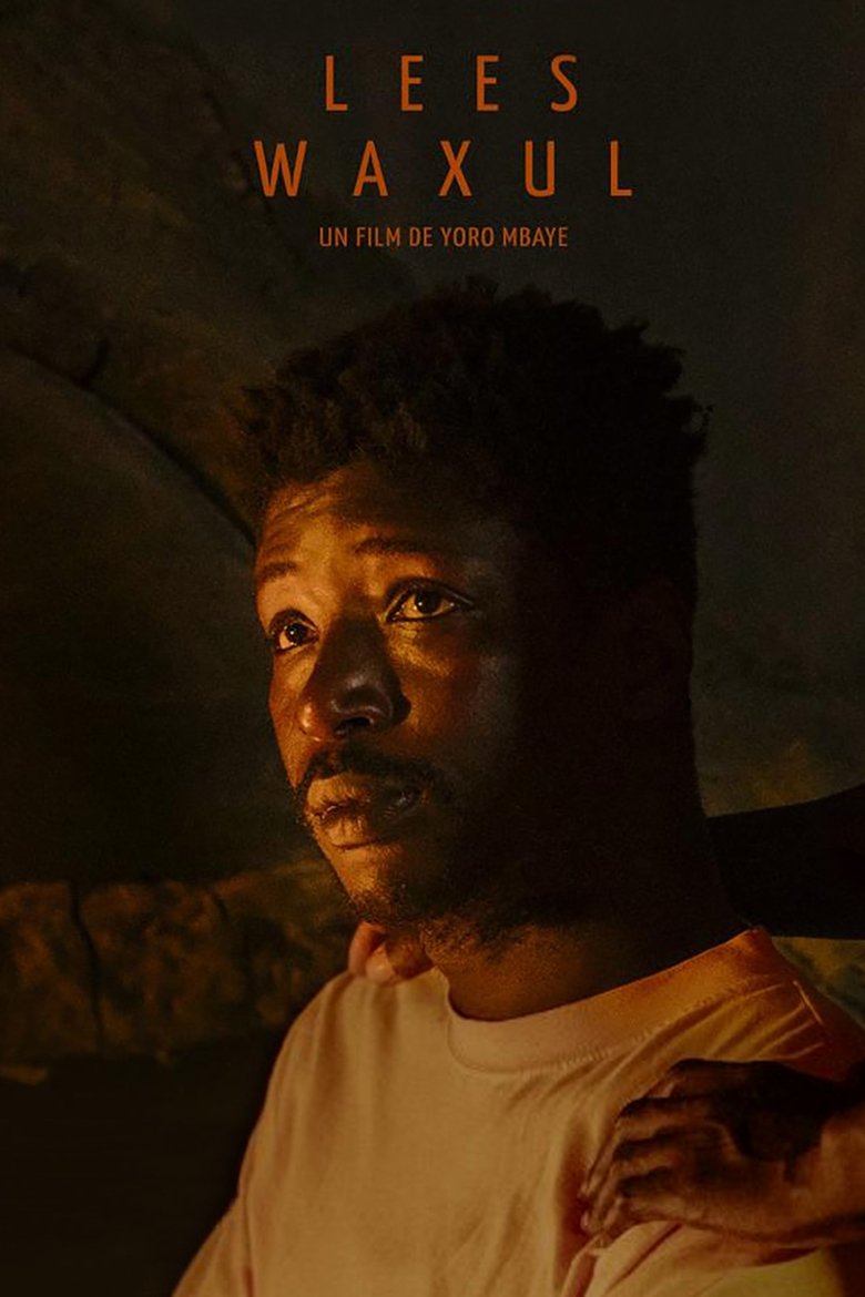 affiche du film Lees Waxul